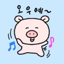 답십리3 | 답십리 팀웰니스PT스튜디오 다니고 3개월 6kg뺀 내돈내산 후기(운동, 식단 정보 포함)