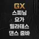 웰니스짐 네이버블로그