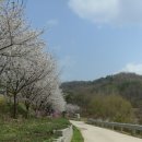 쉼힐링해독센터 이미지