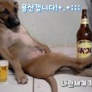 밈