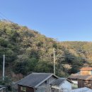 시골마루민박 이미지