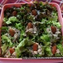 웰빙참치 이미지