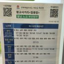 (구)고속버스터미널~부곡파출소 | 2025년 6월 22일 스페셜 시내버스일주 (2일차)