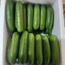 [ 수확해요 ] 싱싱한 스낵오이 , 유럽샐러드 500g 더 넣어드려요 이미지