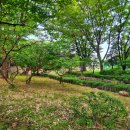 사육신묘 산책로 이미지