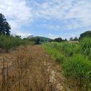 성읍1리사무소 이미지