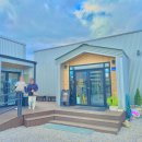 창성(애견) 이미지