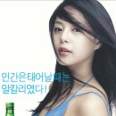 처음처럼 이미지