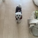 견생원 이미지
