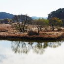 창녕슈퍼텍고등학교 이미지