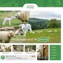 이한낚시공방 이미지