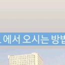 SUN 스칼프 크리닉