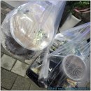 79 | 수원스티필드 근처 회 맛집, 속초바다79 내돈내산 포장후기