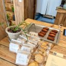 대구 동인동 카페 &#39;고도정&#39; 잔치집 감성 그대로, 레어치즈케이크 맛집