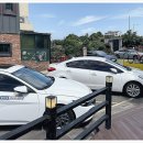 심쿵돼지 이미지