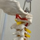 이동민한의원 이미지