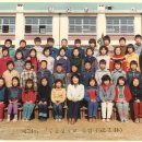 박충환 카카오 검색결과