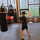 골든 핏 복싱짐 이미지