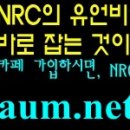 최신 MVNO 동향 뉴스 및 중요 내용 하이라이트 이미지