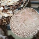 박성기 농장 이미지