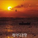 희망 이미지