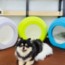 앤하우스 이미지