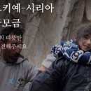 충의태권도 이미지