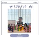 블루래빗 아이큐베이비 12개월 아기전집 오감발달 놀잇감 후기