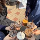 동탄연세세브란스치과 직원들끼리 회식 (위너스타 스시노칸도)