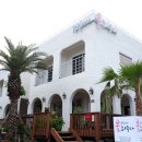 강정2442 꽃피우다 | 서귀포팬션추천 강정2442꽃피우다