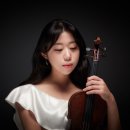 리나바이올린 이미지