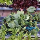 중앙종묘사 이미지