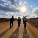 여백 이미지