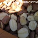 김포농부