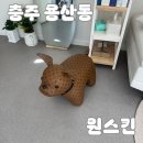 거룡6길 1, (용산동) | [충주 용산동] 원스킨 방문 후기💆🏻‍♀️ 충주 피부관리 1인샵에서 제대로 힐링하고 온 하루