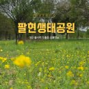 우산근린공원(상) | 대구 가볼만한 곳 팔현생태공원 &amp; 출사하기 좋은 봄풍경 산책명소