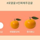제주문 이미지