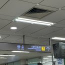 서울 대방어 맛집 내돈내산 노량진 형제 상회 예약, 가격, 위치 안내, 초장집 해운대 후기