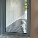 삼리2길 이미지