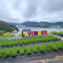 지세포로 이미지