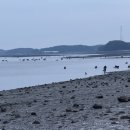 해루질 - 양산시 | 해루질