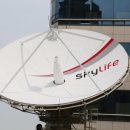 (주)케이티스카이라이프 이미지