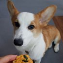 도그랑땡 이미지