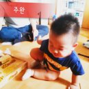 주완농장 이미지