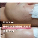 꽃다비 에스테틱 이미지