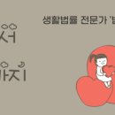 서부법무사 이미지