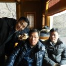 너구리의 피난처 이미지