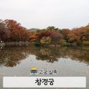 창경궁 홍화문 옆 | 창경궁 종로 가을 명소 창덕궁에서 입장 춘당지 단풍 산책 후기