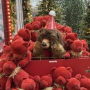 베니베니PC | 2025 더현대서울 팝업 해리의 크리스마스 공방 사전예약 방법 및 일정은?