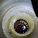 오버카센타 | 경기광주 수입차 정비 (골프 1.6TDI ) EGR쿨러/히터코어/냉각수보충탱크 교환